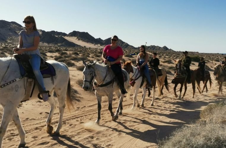 horseback