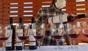 wine